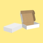white-tuck-top-mailer-box.jpg